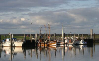 Immobilien in Norddeich kaufen, verkaufen und vermieten